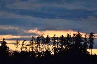 Bulutlu, ağaçlı ve sisli manzara