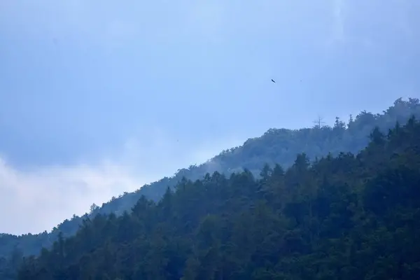 Τοπίο Σύννεφα Δέντρα Και Ομίχλη — Φωτογραφία Αρχείου