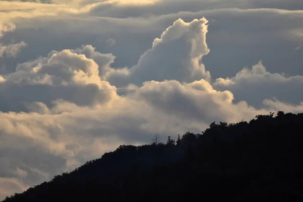 Landschaft Mit Wolken Bäumen Und Nebel — Stockfoto