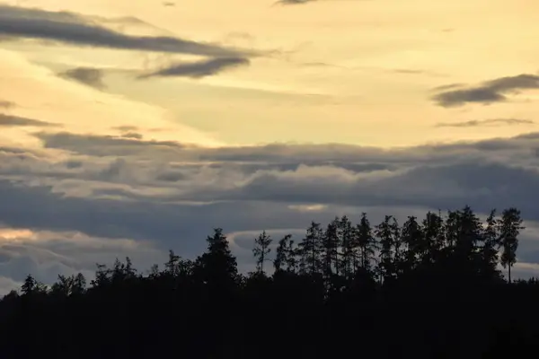 Landschaft Mit Wolken Bäumen Und Nebel — Stockfoto