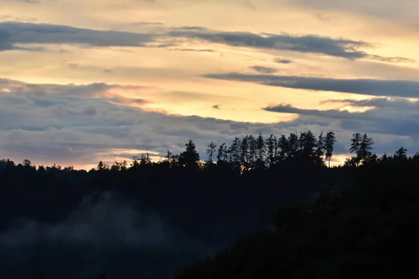 Bulutlu Ağaçlı Sisli Manzara — Stok fotoğraf