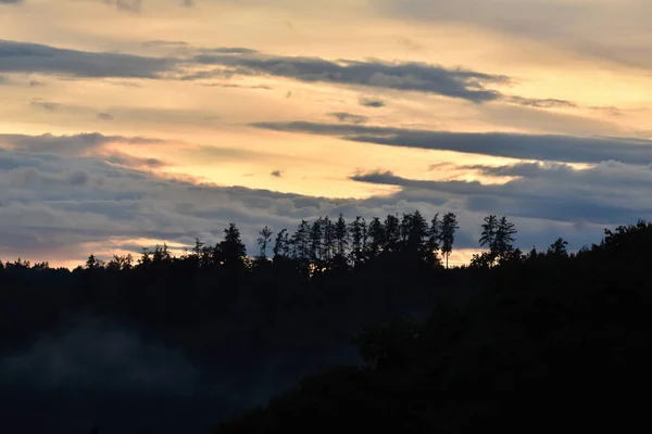 Paisagem Com Nuvens Árvores Nevoeiro — Fotografia de Stock