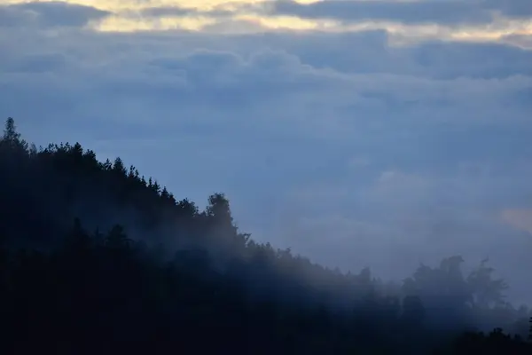 Paesaggio Con Nuvole Alberi Nebbia — Foto Stock
