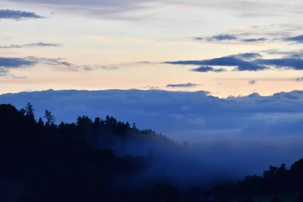 Пейзаж Облаками Деревьями Туманом — стоковое фото