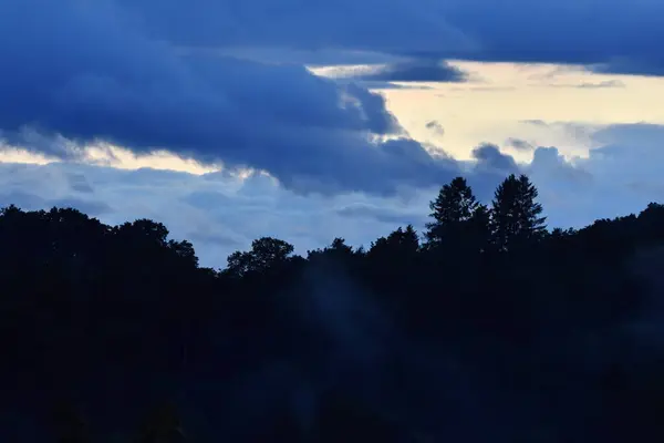 Krajobraz Chmurami Drzewami Mgłą — Zdjęcie stockowe