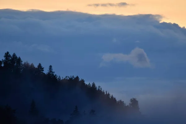 Paesaggio Con Nuvole Alberi Nebbia — Foto Stock