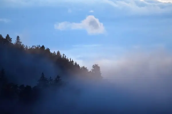 Landschaft Mit Wolken Bäumen Und Nebel — Stockfoto