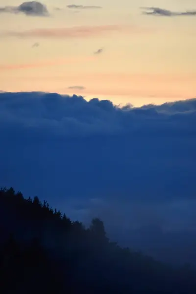Paisagem Com Nuvens Árvores Nevoeiro — Fotografia de Stock