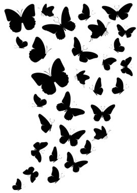 Beyaz arka planda siyah kelebek sürüsü. Vektör