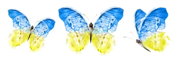 Color Watercolor Butterfly Isolated White Background Set — Foto Stock