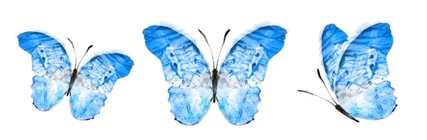 Color Watercolor Butterfly Isolated White Background Set — Photo