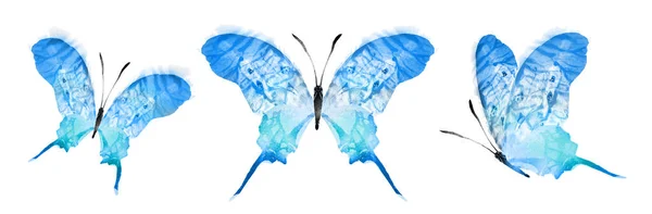 Color Watercolor Butterfly Isolated White Background Set — Stok Foto