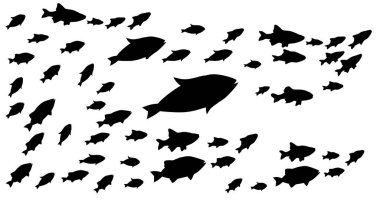 Beyaz üzerine balık gruplarının siluetleri. Vektör