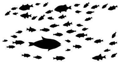 Beyaz üzerine balık gruplarının siluetleri. Vektör