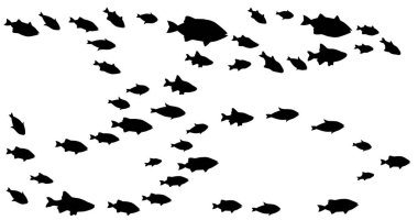 Beyaz üzerine balık gruplarının siluetleri. Vektör