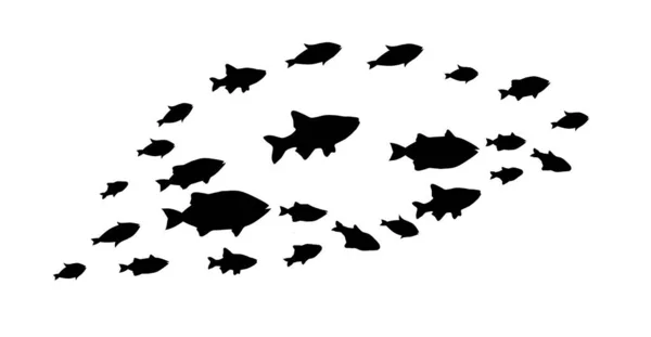 Silhouettes Groups Fishes White Vector — Stock Vector