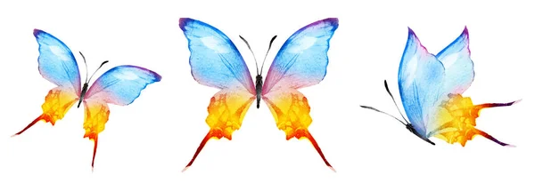 Color Watercolor Butterflies Isolated White Background Set — Zdjęcie stockowe