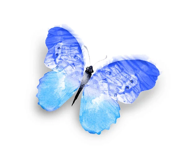 Barva Akvarel Motýl Izolované Bílém Pozadí — Stock fotografie