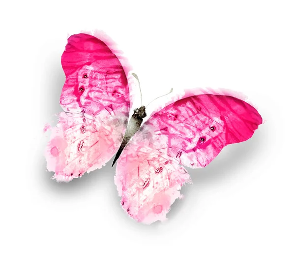 白い背景に孤立した色の水彩蝶 — ストック写真