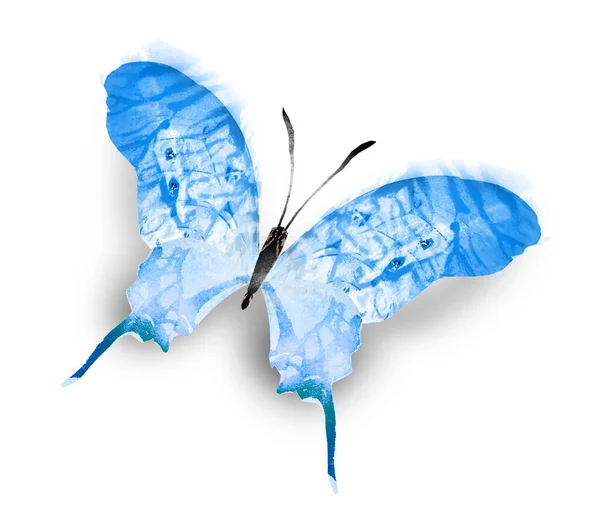 Colore Farfalla Acquerello Isolato Sullo Sfondo Bianco — Foto Stock