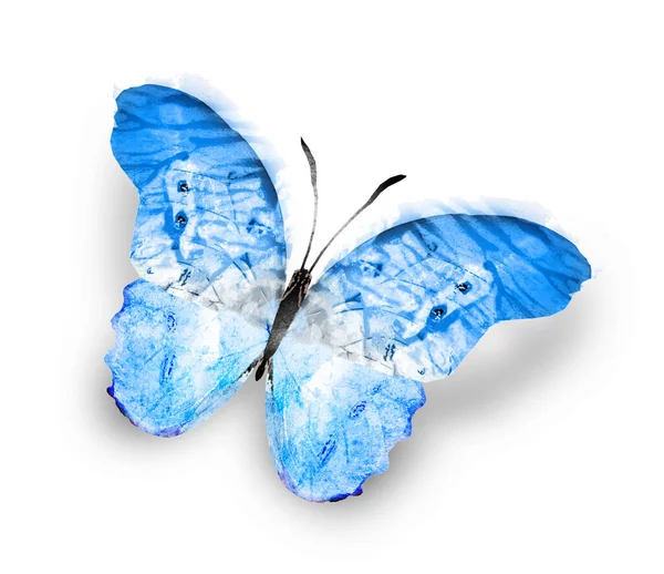 Colore Farfalla Acquerello Isolato Sullo Sfondo Bianco — Foto Stock