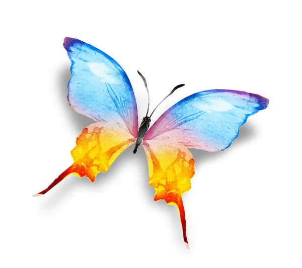 Färg Akvarell Fjäril Isolerad Den Vita Bakgrunden — Stockfoto