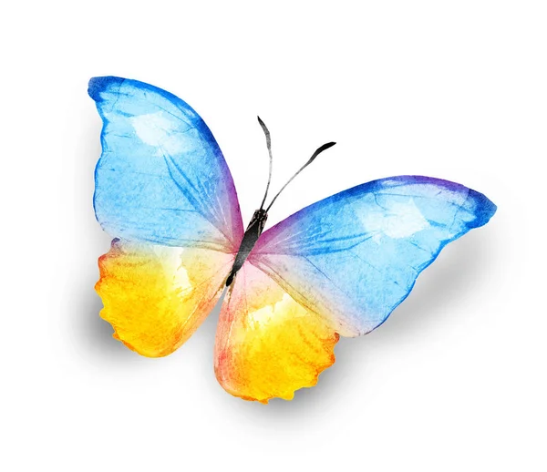 Farbe Aquarell Schmetterling Isoliert Auf Weißem Hintergrund — Stockfoto