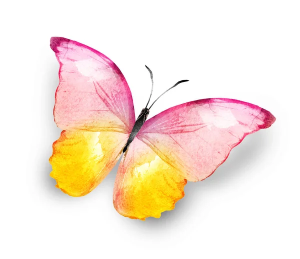 Färg Akvarell Fjäril Isolerad Den Vita Bakgrunden — Stockfoto