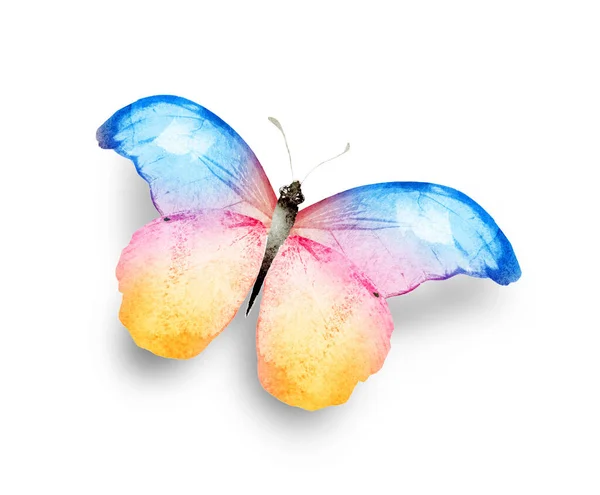 Цвет Бабочки Акварели Изолированные Белом Фоне — стоковое фото