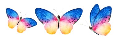 Color watercolor butterflies , isolated on the white background. Set