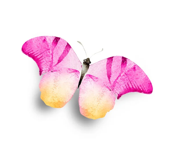 Kolor Akwarela Motyl Izolowane Białym Tle — Zdjęcie stockowe
