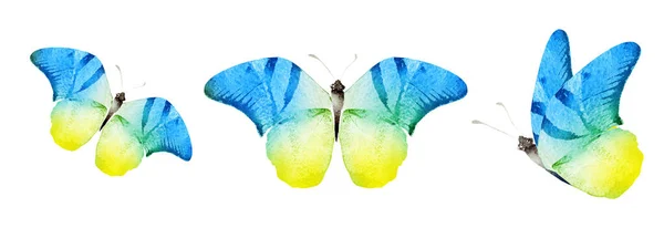 Color Watercolor Butterflies Isolated White Background Set — Foto de Stock
