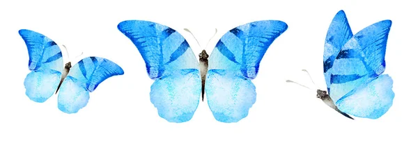 Color Watercolor Butterflies Isolated White Background Set — Stok fotoğraf