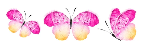 Color Watercolor Butterflies Isolated White Background Set — Φωτογραφία Αρχείου