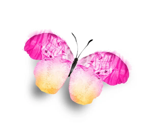白い背景に孤立した色の水彩蝶 — ストック写真