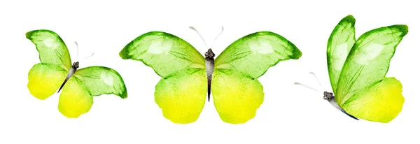 Кольорові Акварельні Метелики Ізольовані Білому Тлі Встановити — стокове фото