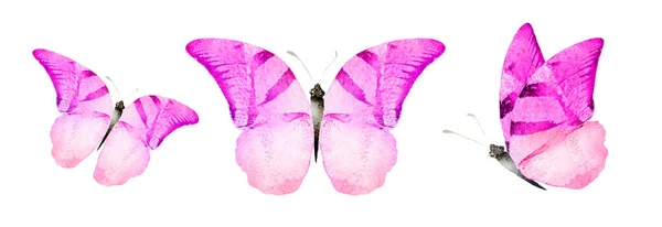 Color Watercolor Butterflies Isolated White Background Set — Stock fotografie