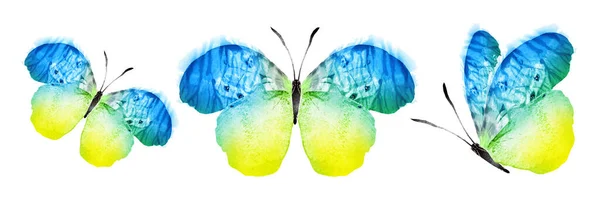Color Watercolor Butterflies Isolated White Background Set — Photo