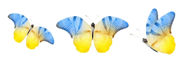 Color Watercolor Butterflies Isolated White Background Set — Foto Stock