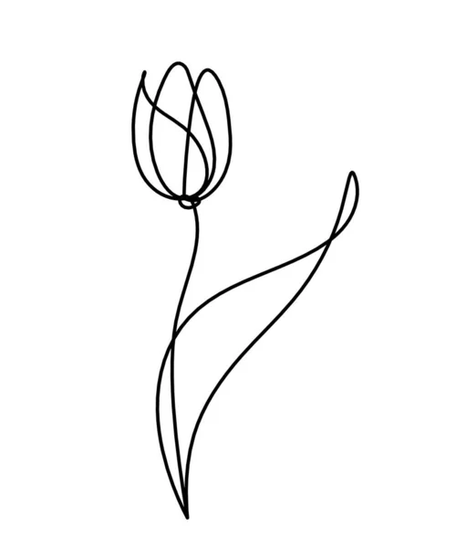 Abstrakte Blumenlinien Zeichnung Isoliert Auf Weißem Hintergrund — Stockvektor