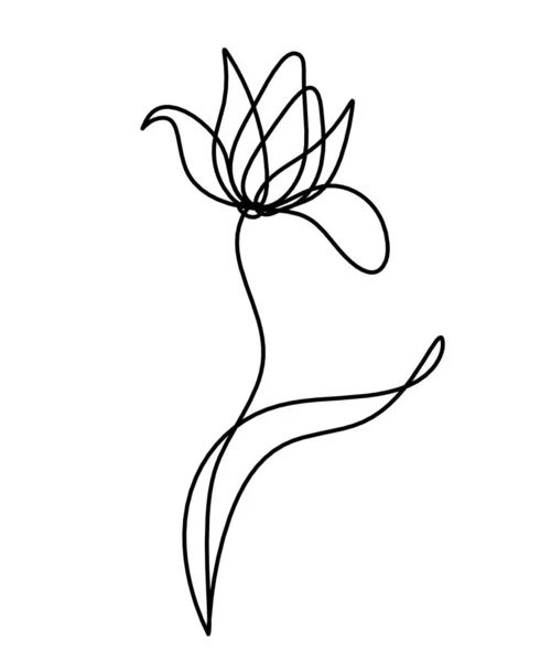 Dibujo Abstracto Línea Flores Aislado Sobre Fondo Blanco — Archivo Imágenes Vectoriales