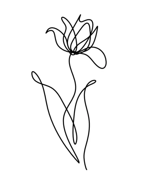 Desenho Linha Flor Abstrato Isolado Sobre Fundo Branco —  Vetores de Stock