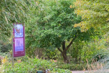 Amsterdam 'daki Hortus Botanik' teki Billboard ve Doğa 28-10-2022