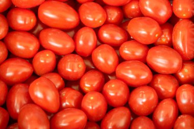 Hollanda, Amsterdam 'da Yemeye Hazır Kiraz Domatesleri 19-9-2022