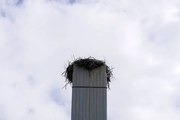 Großaufnahme Leeres Storchennest Auf Einem Kirchturm Amsterdam Niederlande 2022 — Stockfoto