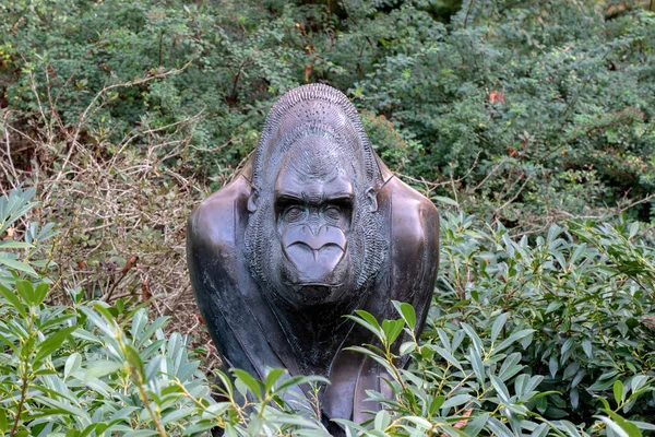 Close Gorilla Statue Amsterdam Niederlande 2022 — Stockfoto