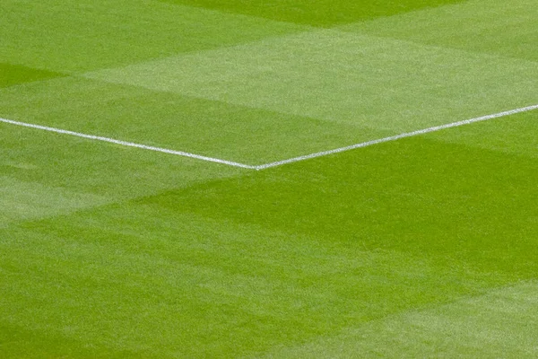 stock image Close Up Grass Field Of A Soccer Field At Amsterdam The Netherlands 21-9-2022