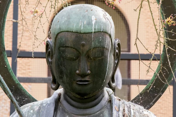 Artis Amsterdam 'daki Buda Heykeli' nin Kapanışı Hollanda 30-3-2022