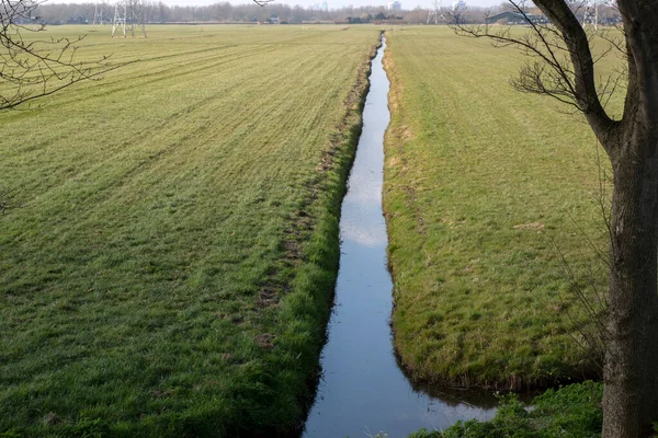 Fossé Dans Une Terre Agricole Entre Driemond Abcoude Pays Bas — Photo
