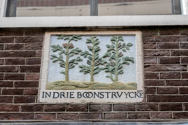 Kamień Fasadowy Drie Boonstruycke Amsterdamie Holandia 2022 — Zdjęcie stockowe